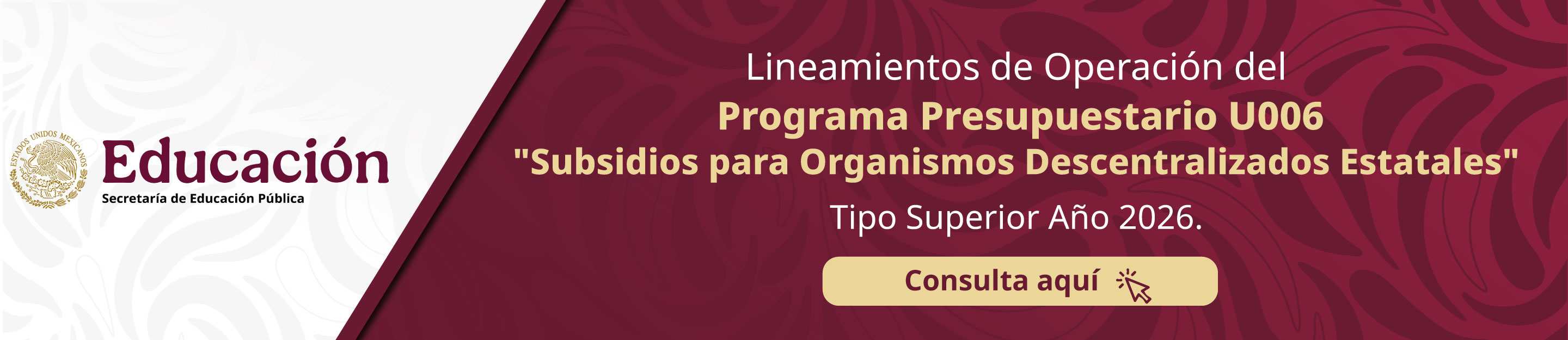 Lineamientos de Operación del Programa Presupuestario U006 "Subsidios para Organismos Descentralizados Estatales", Tipo Superior Año 2026.