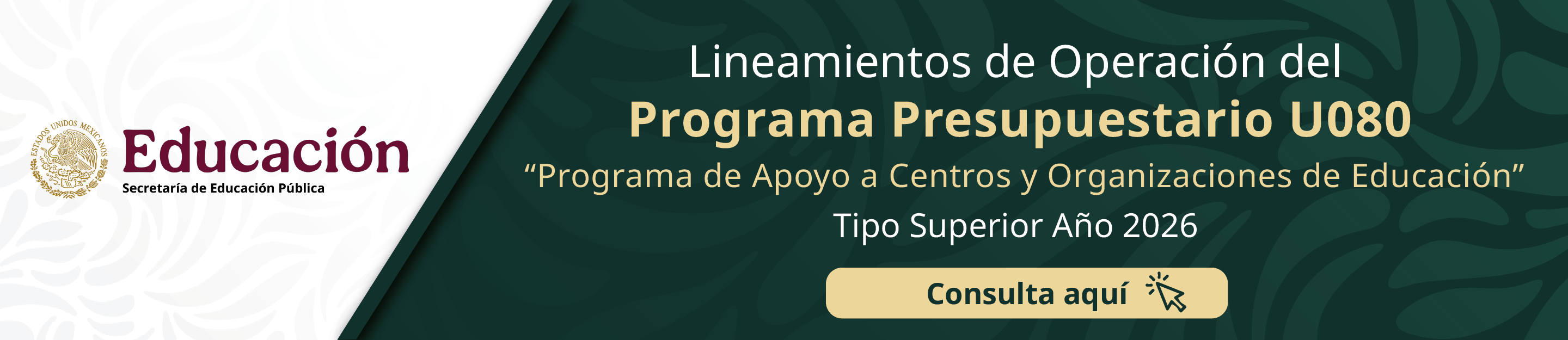 Programa U080 