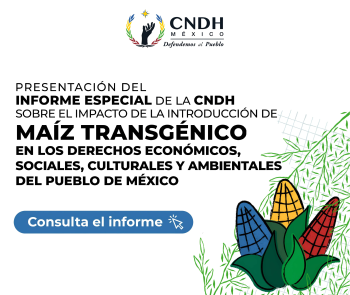 Informe Especial de la CNDH sobre el impacto de la introducción de maíz transgénico en los derechos económicos, sociales, culturales y ambientales del pueblo de México.