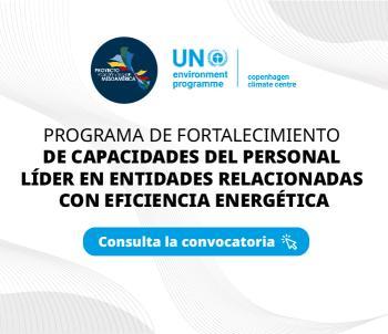 Programa de Fortalecimiento de Capacidades del Personal Líder en Entidades Relacionadas con Eficiencia Energética