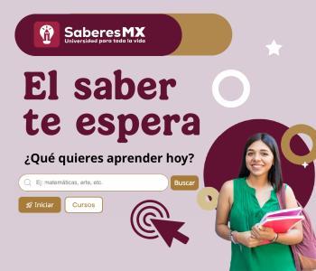Saberes MX